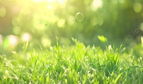 Screenshot 2026 03 03 144938